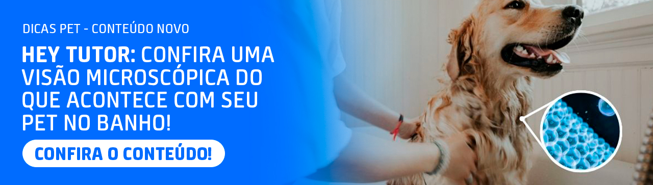 Hey Tutor: Confira uma visão microscópica do que acontece com seu pet no banho!