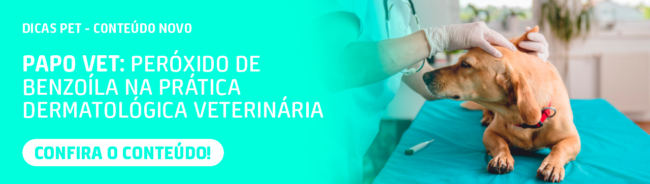 Papo Vet: Peróxido de Benzoíla na Prática Dermatológica Veterinária