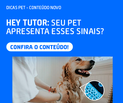 Hey Tutor: Confira uma visão microscópica do que acontece com seu pet no banho!