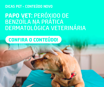 Papo Vet: Peróxido de Benzoíla na Prática Dermatológica Veterinária