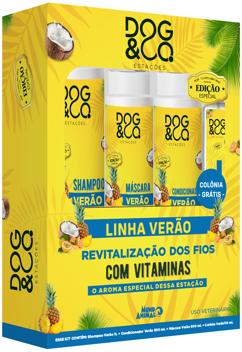 VERÃO KIT
